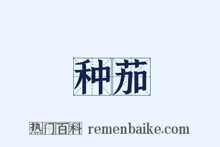 种茄是什么意思的图片